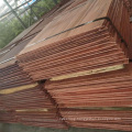 Copper Cathode 99.99% High Quality and Good Price